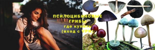 амф Новозыбков