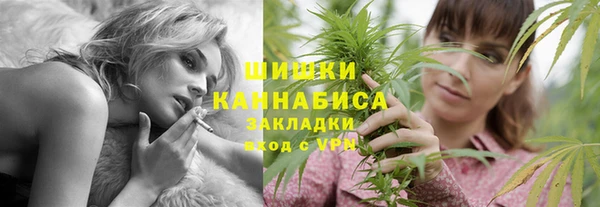 амф Новозыбков