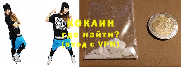 амф Новозыбков