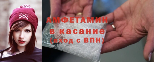 амф Новозыбков