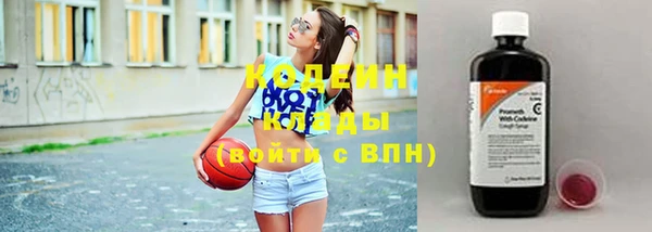 амф Новозыбков