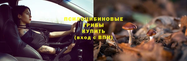соль ск Нязепетровск