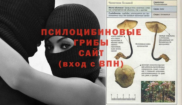 амф Новозыбков