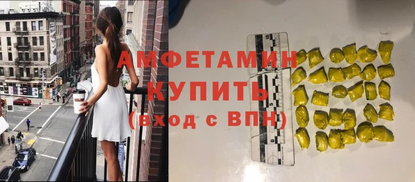 амф Новозыбков
