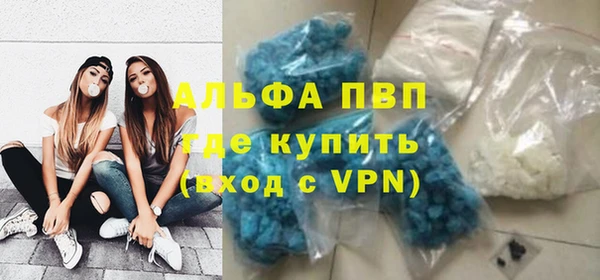 амф Новозыбков
