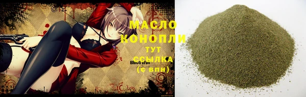амф Новозыбков
