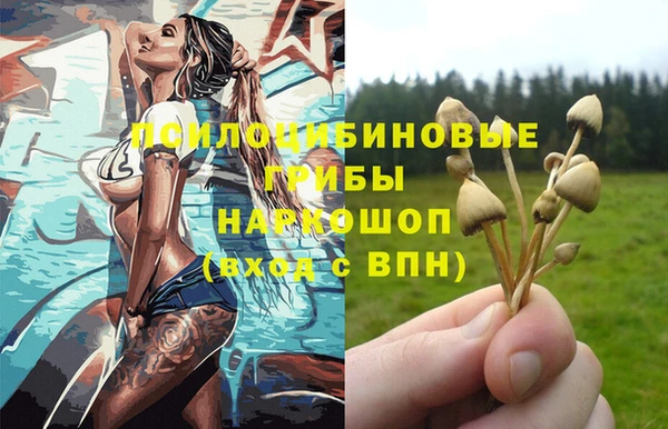 альфа пвп Новокубанск