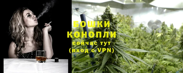 твердый Нягань